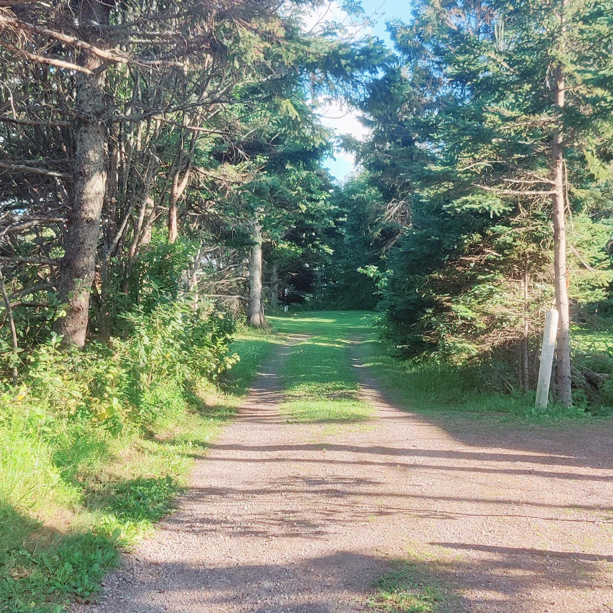 Avonlea Forest Hill Cottages New Glasgow Luaran gambar