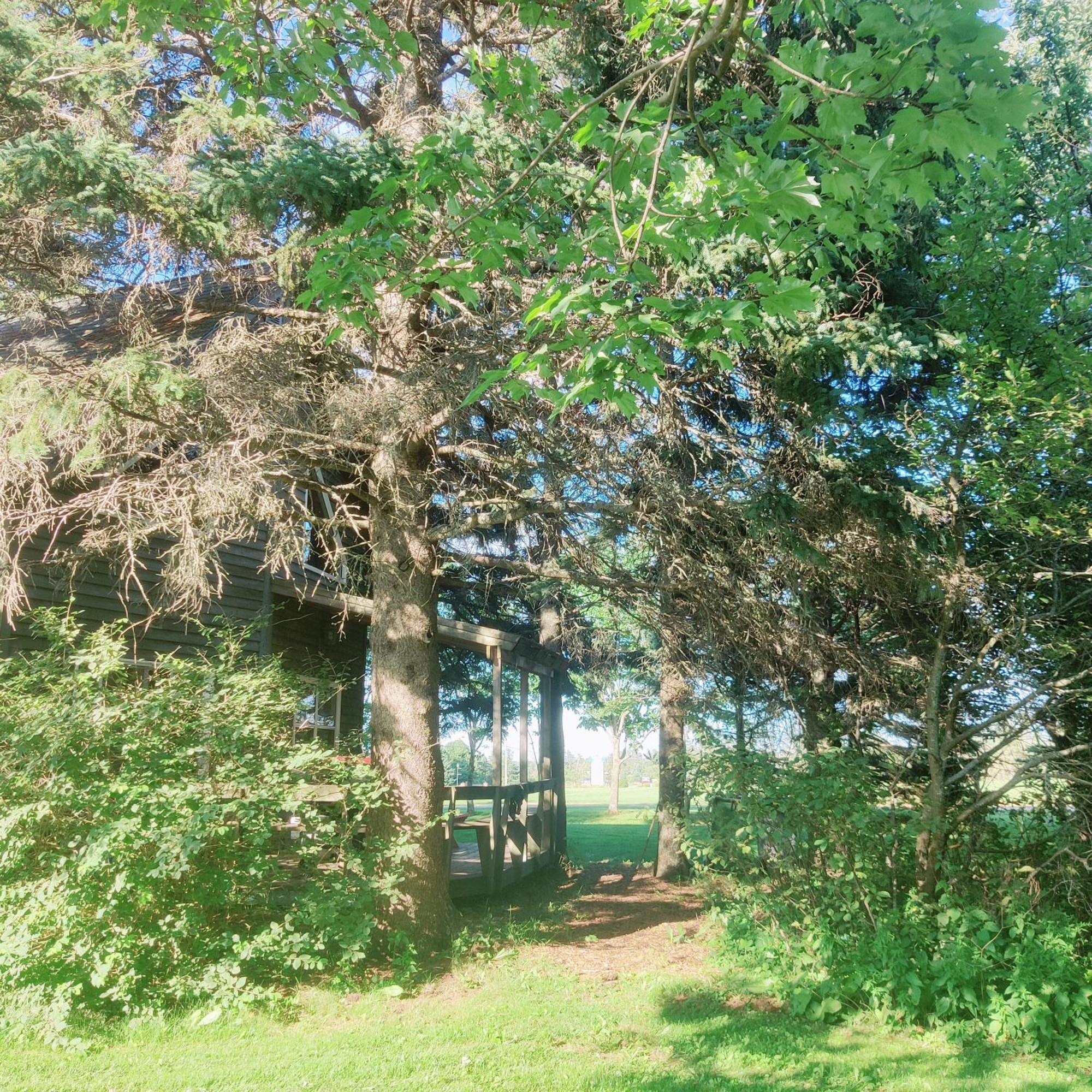 Avonlea Forest Hill Cottages New Glasgow Luaran gambar
